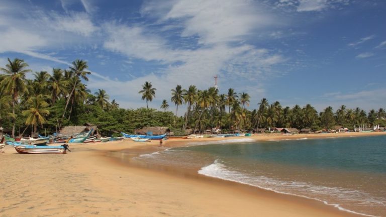 Découvrez Arugam Bay, ville côtière du sud-est