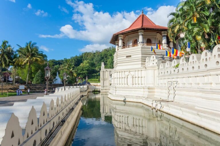Exploration du Sri Lanka en Février : Les Destinations Inoubliables à Découvrir